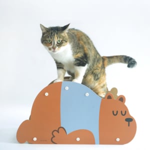 PARISCAT 小熊立體貓抓板