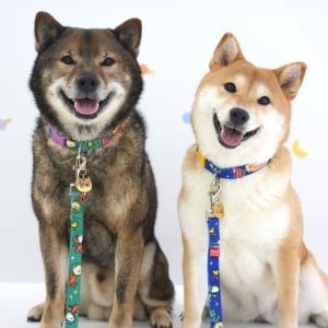 史努比繽紛主題牽繩