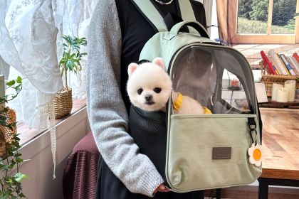 寵物爸媽必看！挑選外出包的重點介紹