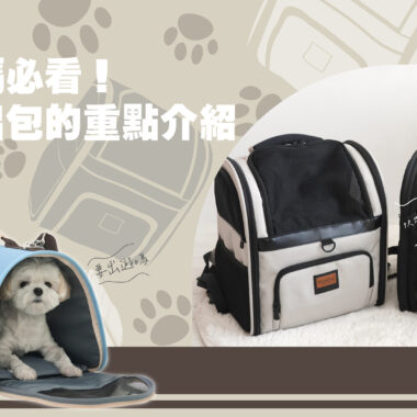 狗狗坐車真的安全嗎？ 寵物安全座椅的挑選指南