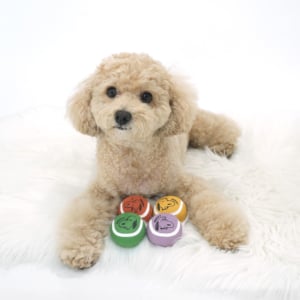 史努比復古乳膠發聲玩具球