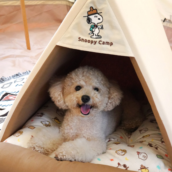 史努比童軍露營寵物帳篷小屋