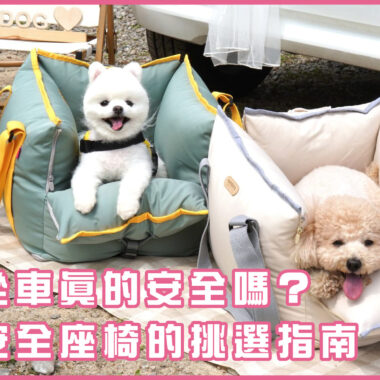 狗狗春季出遊指南：必知注意事項 & 準備清單！