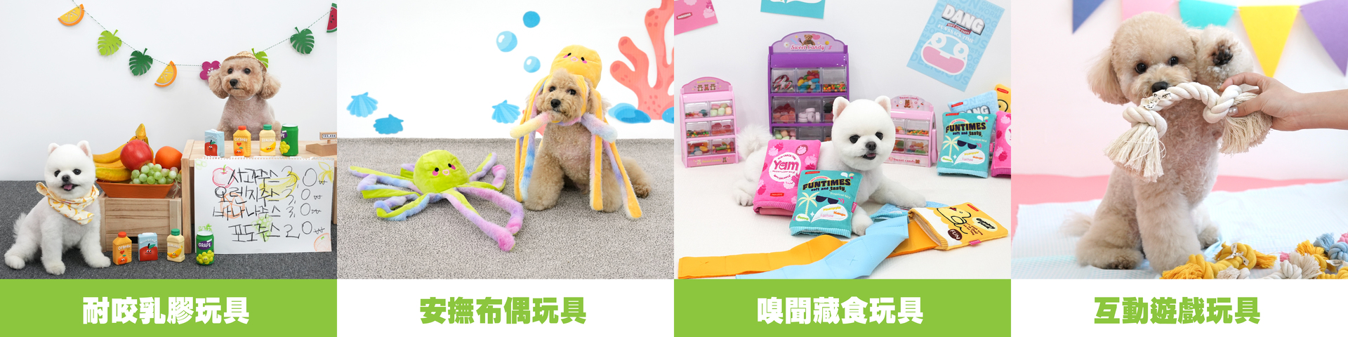 為什麼狗狗總愛亂咬東西？這些原因你一定要知道！