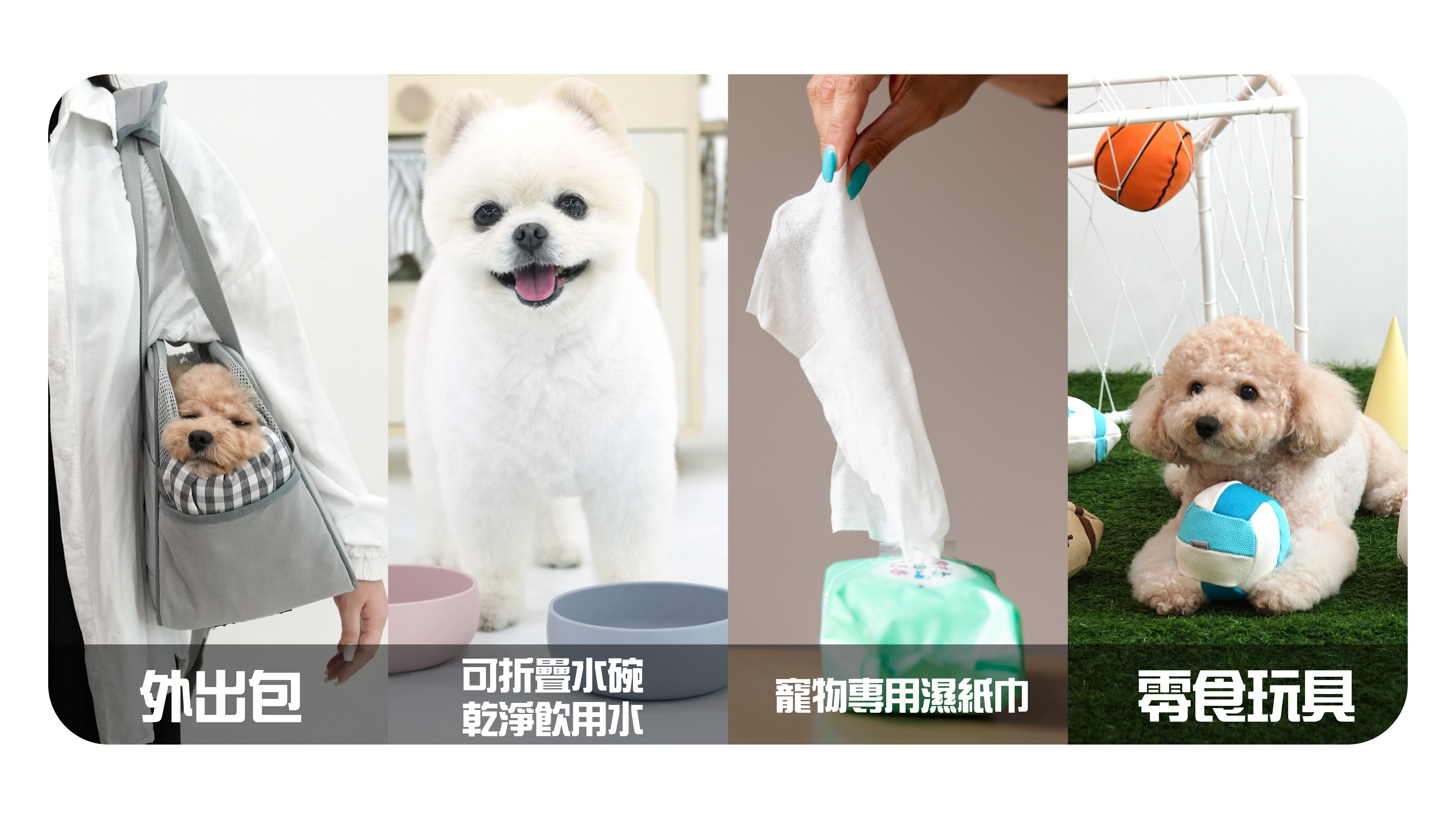 狗狗春季出遊指南：必知注意事項 & 準備清單！